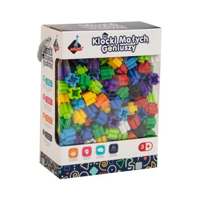 Opakowanie Klocki małych geniuszy - cegiełki 310 elementów
