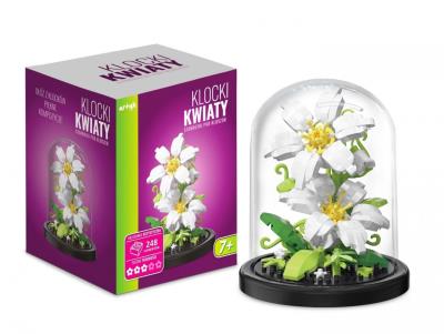 Opakowanie Klocki pod kloszem stokrotki