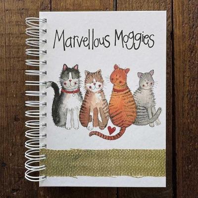 Opakowanie Kołonotatnik A5/100K 4 koty TW