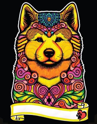 Opakowanie Kolorowanka Welwetowa A4 Akita inu