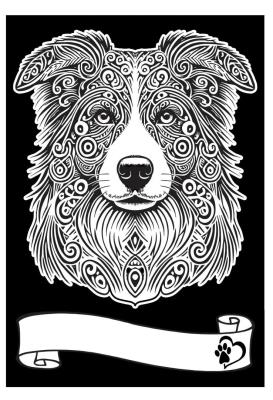 Opakowanie Kolorowanka Welwetowa A4 Border Collie