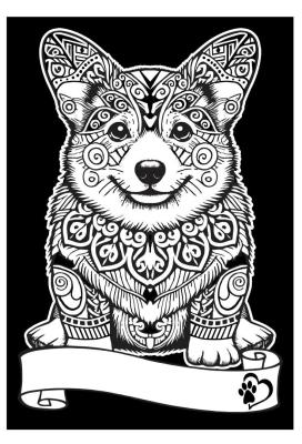 Opakowanie Kolorowanka welwetowa A4 Corgi