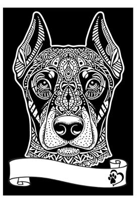 Opakowanie Kolorowanka welwetowa A4 Doberman