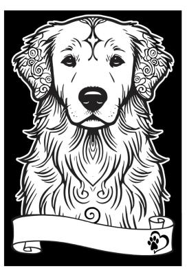 Opakowanie Kolorowanka welwetowa A4 Golden retriever