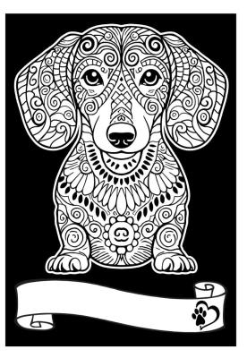 Opakowanie Kolorowanka Welwetowa A4 Jamnik