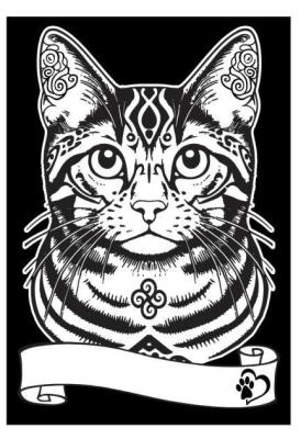 Opakowanie Kolorowanka welwetowa A4 Kot europejski