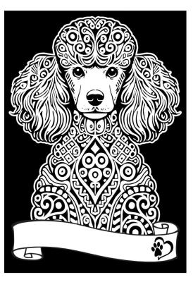 Opakowanie Kolorowanka Welwetowa A4 Pudel