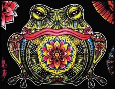 Opakowanie Kolorowanka welwetowa Żaba 47x35cm