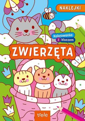Kolorowanki z kluczem. Zwierzęta. Autor: Opracowanie zbiorowe. SmakLiter.pl Okładka książki Kolorowanki z kluczem. Zwierzęta