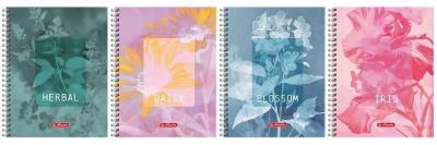 Opakowanie Kołozeszyt A4/80K kratka Blossom (5szt) HERLITZ