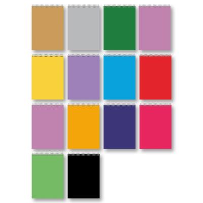 Opakowanie Kołozeszyt A5/80K na spirali TW kratka mix PENMATE