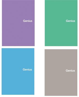 Opakowanie Kołozeszyt A6/80K kratka Genius mini 2 (4szt)