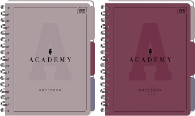 Opakowanie Kołozeszyt B5/100K kratka przekł PP Academy mix