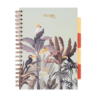 Opakowanie Kołozeszyt Pads B5/100K kratka Afryka pastel ziel