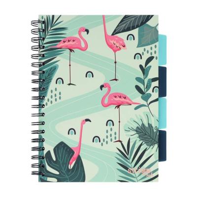 Opakowanie Kołozeszyt Pads B5/100K kratka Jungla zielony