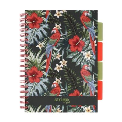 Opakowanie Kołozeszyt Pads B5/100K kratka Tropiki Papuga