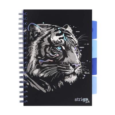 Opakowanie Kołozeszyt Pads B5/100K kratka Tygrys