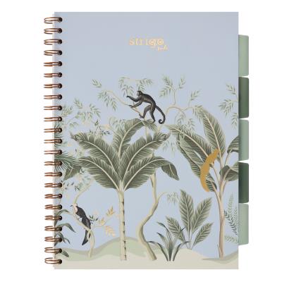 Opakowanie Kołozeszyt Strigo A4 Project Book Afryka pastelowo niebieski kratka