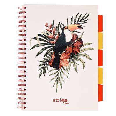 Opakowanie Kołozeszyt Strigo A4 Project Book Pelikan biały kratka