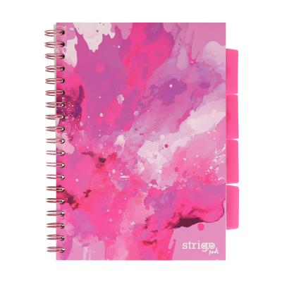 Opakowanie Kołozeszyt StrigoB5 Project Book Fusion różowy kratka