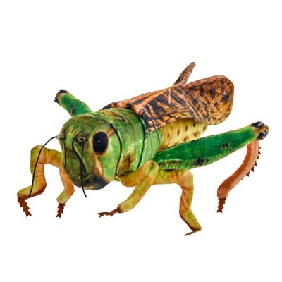 Konik polny 41cm. Wydawca: Beppe. SmakLiter.pl Opakowanie Konik polny 41cm