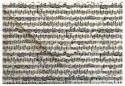 Opakowanie Koperta BSG.554 32x22cm Muzyka