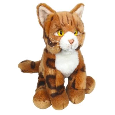 Opakowanie Kot bengalski