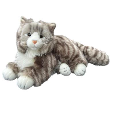 Opakowanie Kot norweski 45cm