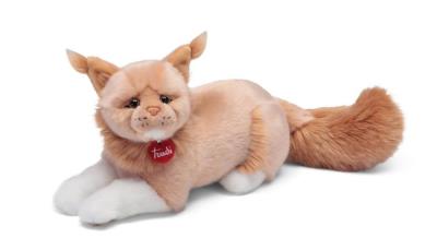 Kot rasy Maine Coon. Wydawca: Trudi. SmakLiter.pl Opakowanie Kot rasy Maine Coon