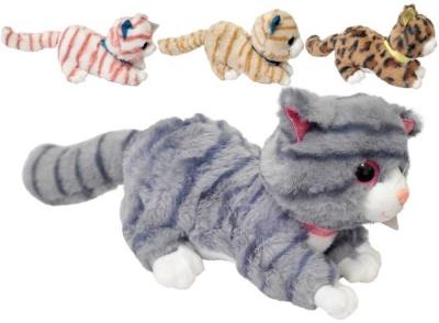 Opakowanie Kot z głosem MIX