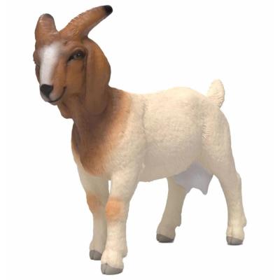 Opakowanie Koza rasy Boer