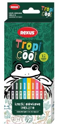 Opakowanie Kredki ołówkowe trójkątne 12 kolorów