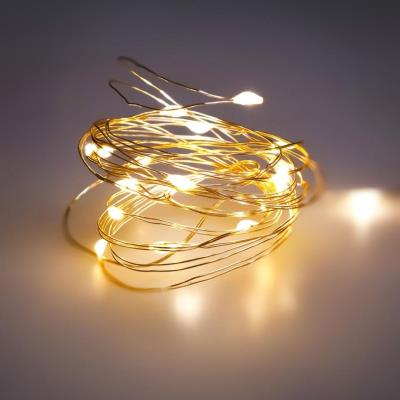 Lampki led na druciku (20 lampek). Wydawca: ARPEX. SmakLiter.pl Opakowanie Lampki led na druciku (20 lampek)