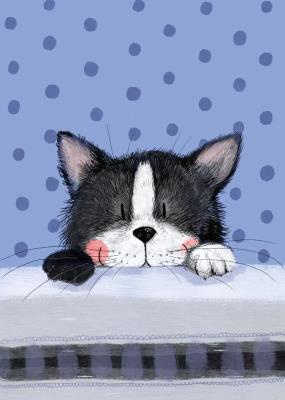 Opakowanie LDC16 Karnecik Mały kot Frisky