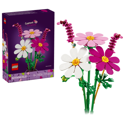 Opakowanie LEGO Botanicals Kosmosy 11514