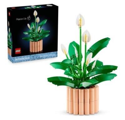 Opakowanie LEGO(R) BOTANICALS 11504 Skrzydłokwiat