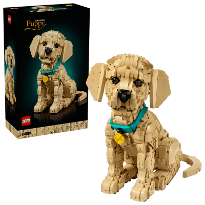 Opakowanie LEGO(R) ICONS 11384 Szczeniak golden retriever