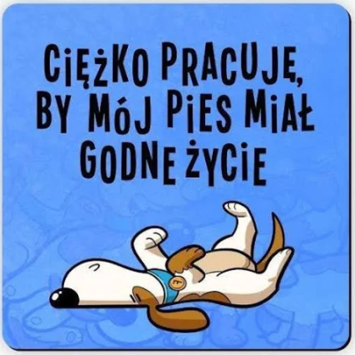 Magnes na lodówkę Godne życie pies. Wydawca: Molom. SmakLiter.pl Opakowanie Magnes na lodówkę Godne życie pies