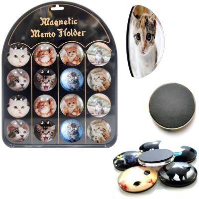 Opakowanie Magnesy koty (16szt)