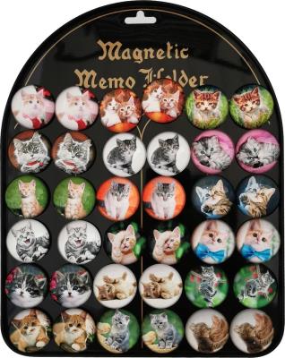 Opakowanie Magnesy koty 3,5cm 36szt
