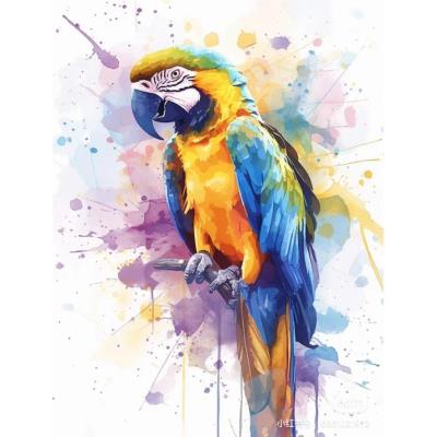 Opakowanie Malowanie po numerach 40x50cm Papuga