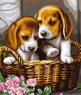 Opakowanie Malowanie po numerach 40x50cm Pieski w koszyku