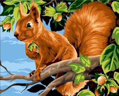 Opakowanie Malowanie po numerach 40x50cm Wiewiórka z...