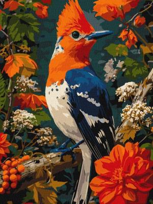 Opakowanie Malowanie po numerach - Barwny leśny ptak 30x40cm