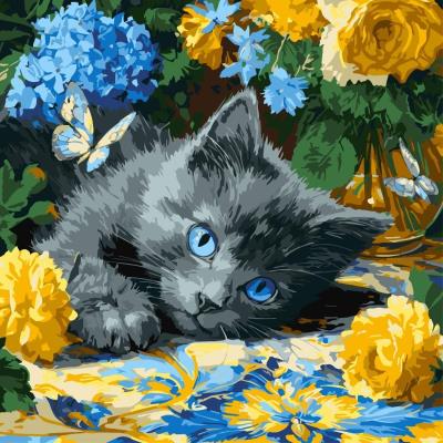 Opakowanie Malowanie po numerach - Błękitnookie kocię 40x40cm