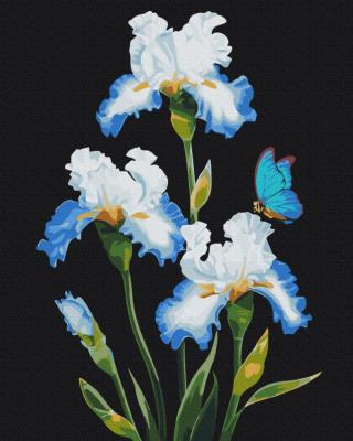 Opakowanie Malowanie po numerach BRUSHME 40x50 cm Irysy