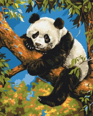 Opakowanie Malowanie po numerach BRUSHME 40x50 cm Leniwa Panda