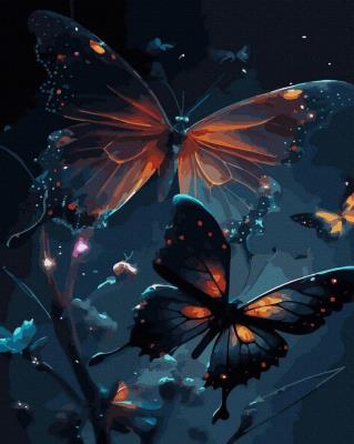 Opakowanie Malowanie po numerach czarne płótno - Nocne Motyle