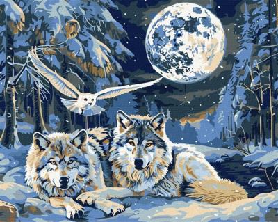 Opakowanie Malowanie po numerach -Drapieżniki i mądrość 40x50