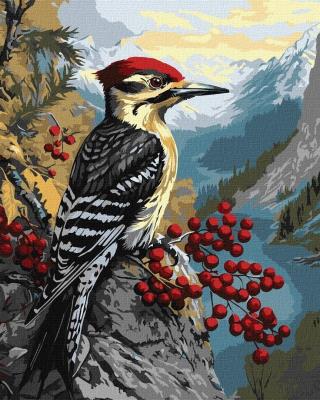 Opakowanie Malowanie po numerach -Dzięcioł na kalinie 40x50cm